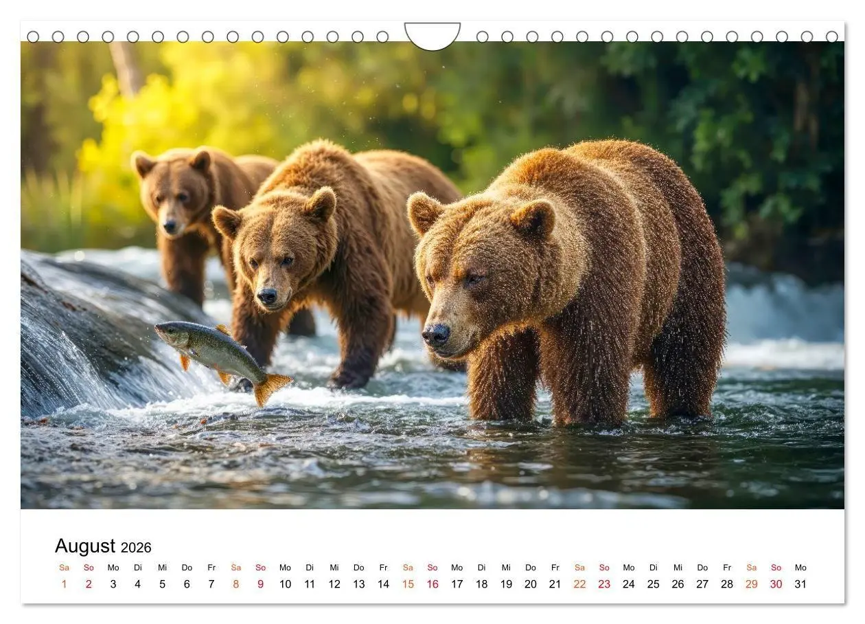 Bild: 9783516687385 | Bären - Die Macht der Natur (Wandkalender 2026 DIN A4 quer),...