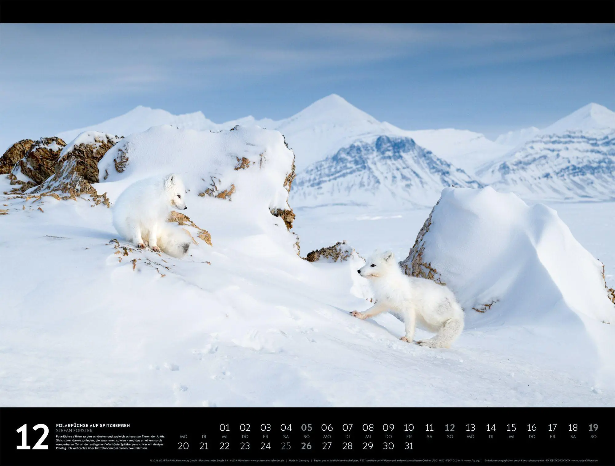 Bild: 9783838437385 | Nordische Welten Signature Kalender 2027 | Stefan Forster (u. a.)