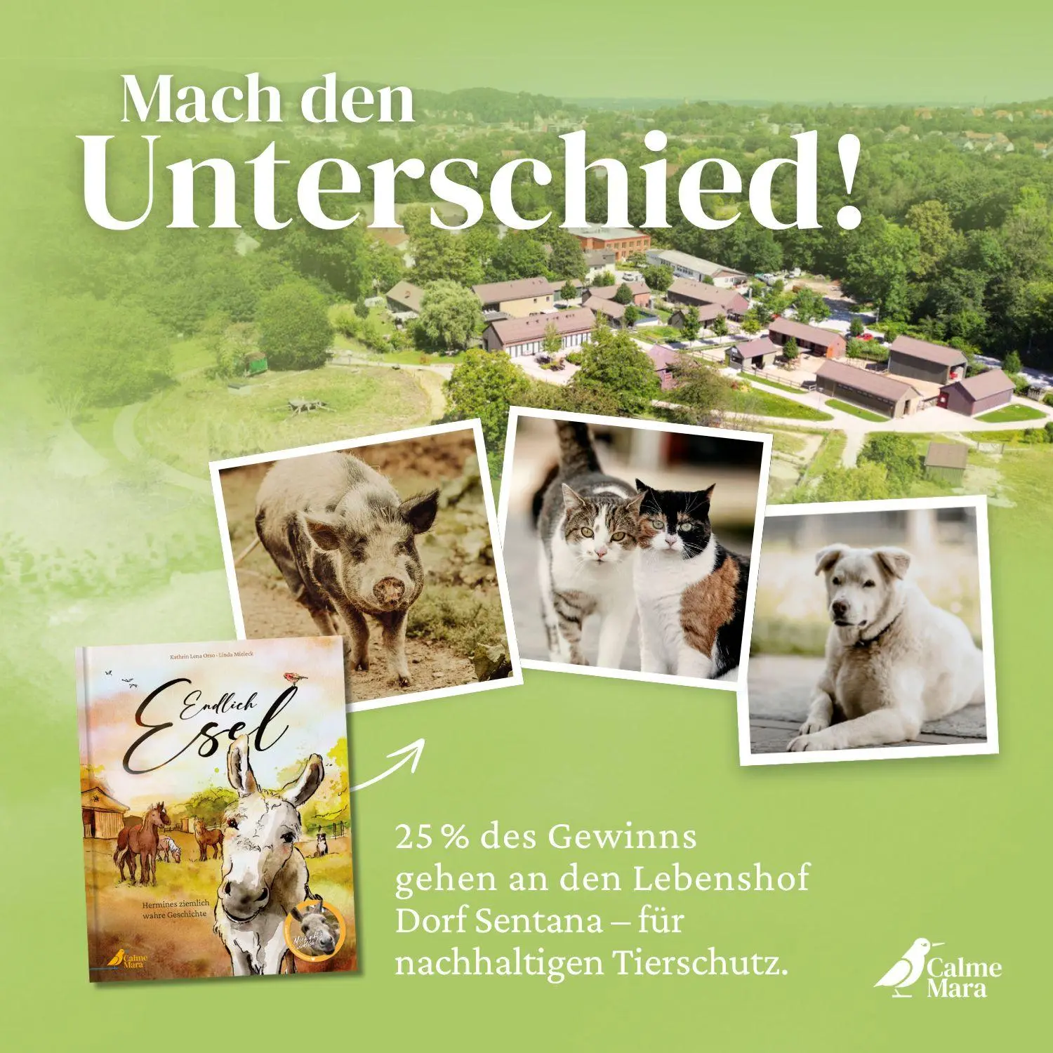 Bild: 9783948877385 | Endlich Esel | Kathrin Lena Orso | Buch | 36 S. | Deutsch | 2023