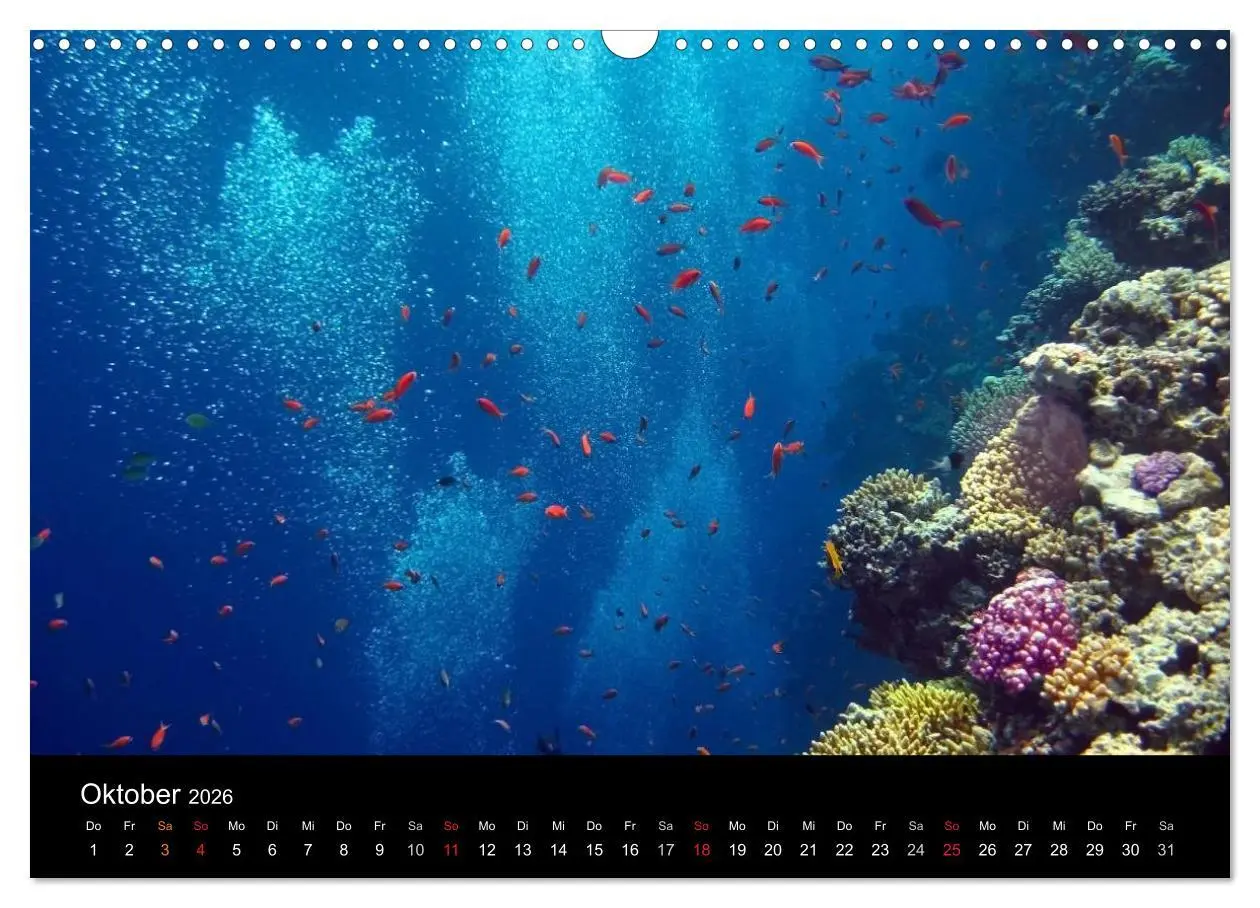 Bild: 9783516057485 | Riffleben - Einfach mal abtauchen (Wandkalender 2026 DIN A3 quer),...