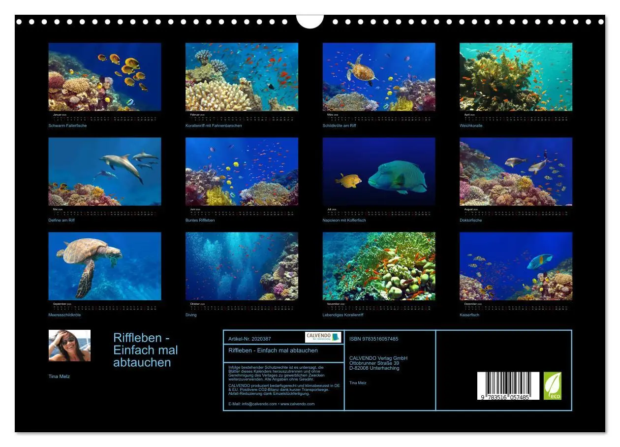 Bild: 9783516057485 | Riffleben - Einfach mal abtauchen (Wandkalender 2026 DIN A3 quer),...
