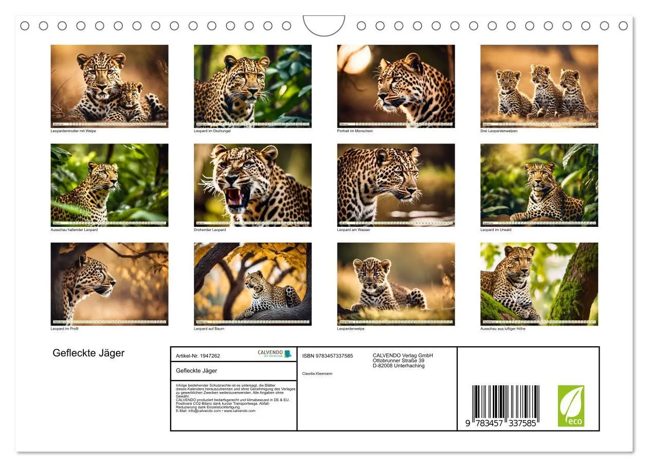 Bild: 9783457337585 | Gefleckte Jäger (Wandkalender 2026 DIN A4 quer), CALVENDO...