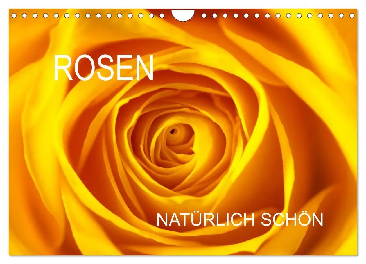 Cover: 9783516117585 | Rosen natürlich schön (Wandkalender 2026 DIN A4 quer), CALVENDO...