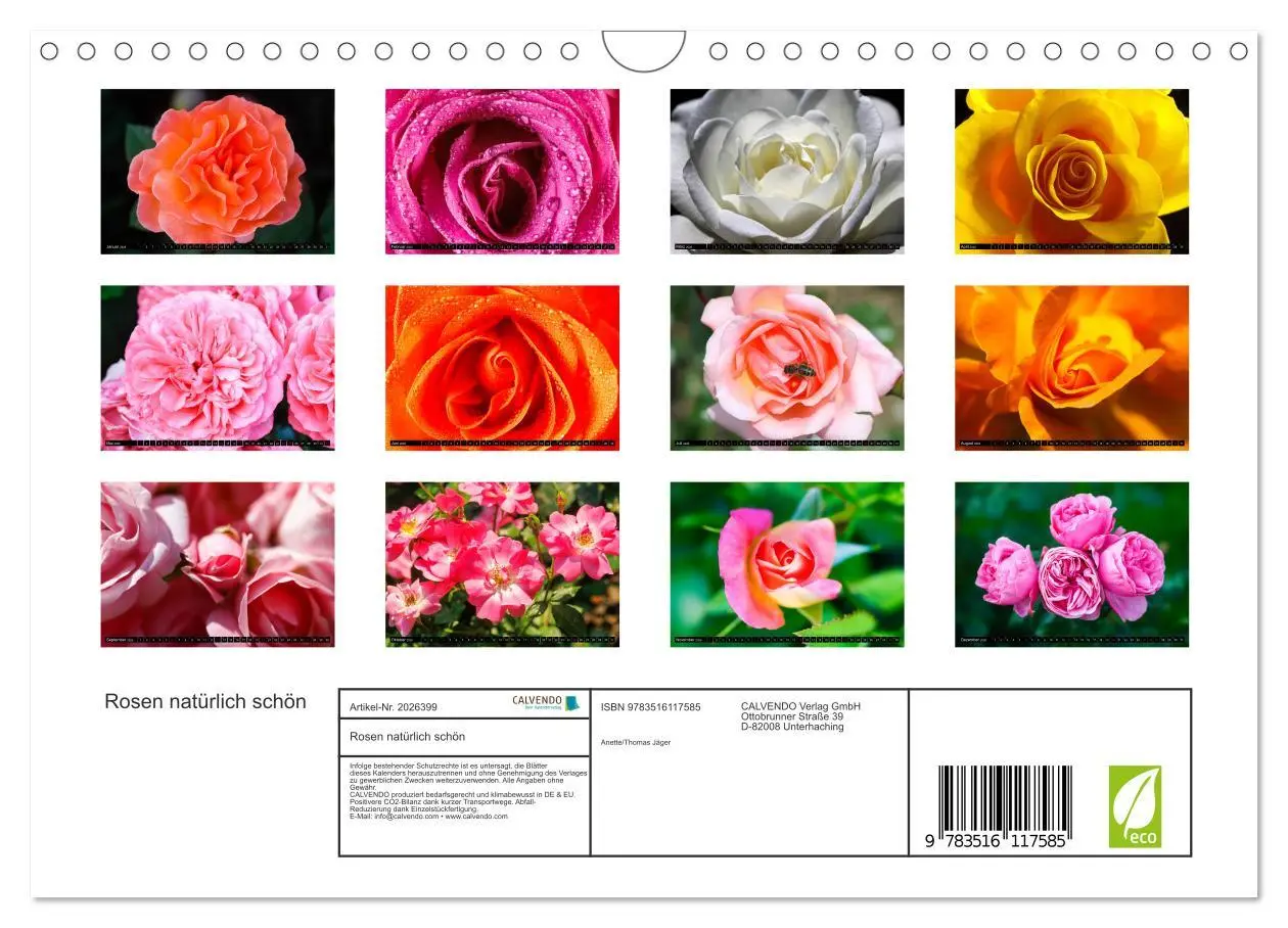 Bild: 9783516117585 | Rosen natürlich schön (Wandkalender 2026 DIN A4 quer), CALVENDO...