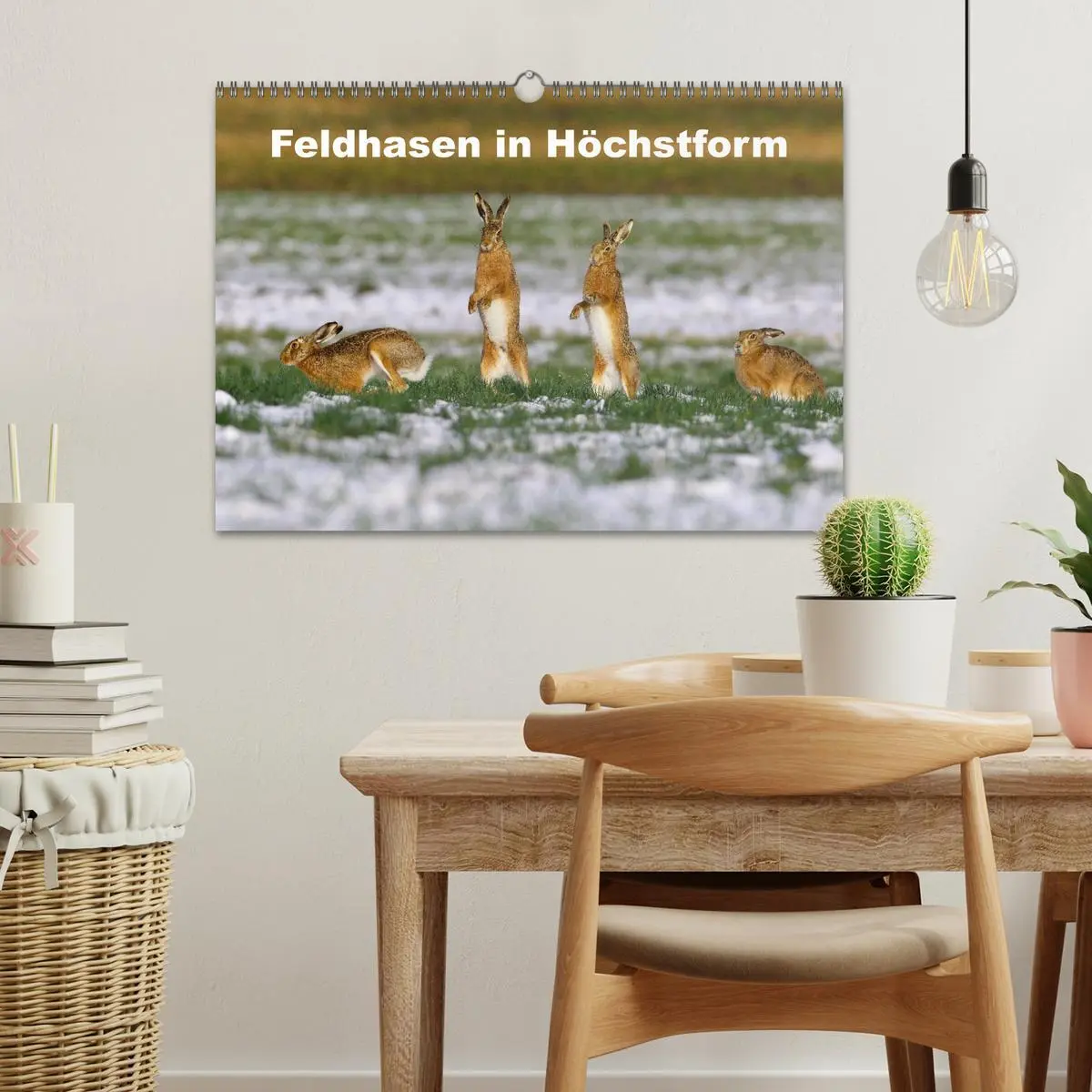 Bild: 9783457567685 | Feldhasen in Höchstform (Wandkalender 2026 DIN A3 quer), CALVENDO...