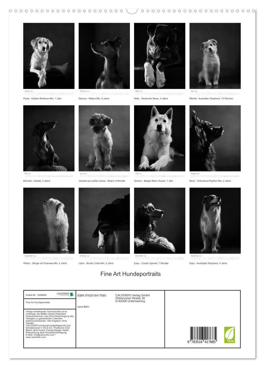 Bild: 9783516417685 | Fine Art Hundeportraits (hochwertiger Premium Wandkalender 2026 DIN...