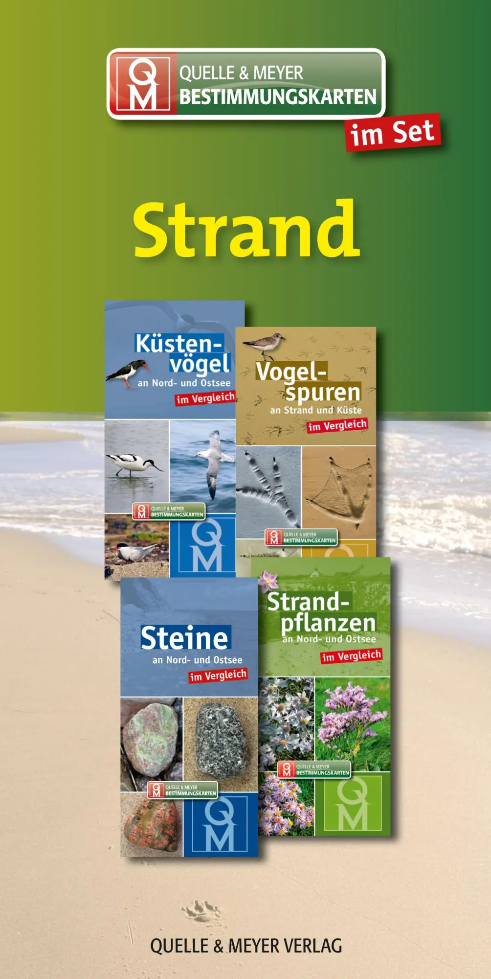 Cover: 9783494017785 | Bestimmungskarten-Set "Strand" | Quelle &amp; Meyer Verlag | Buch | 36 S.