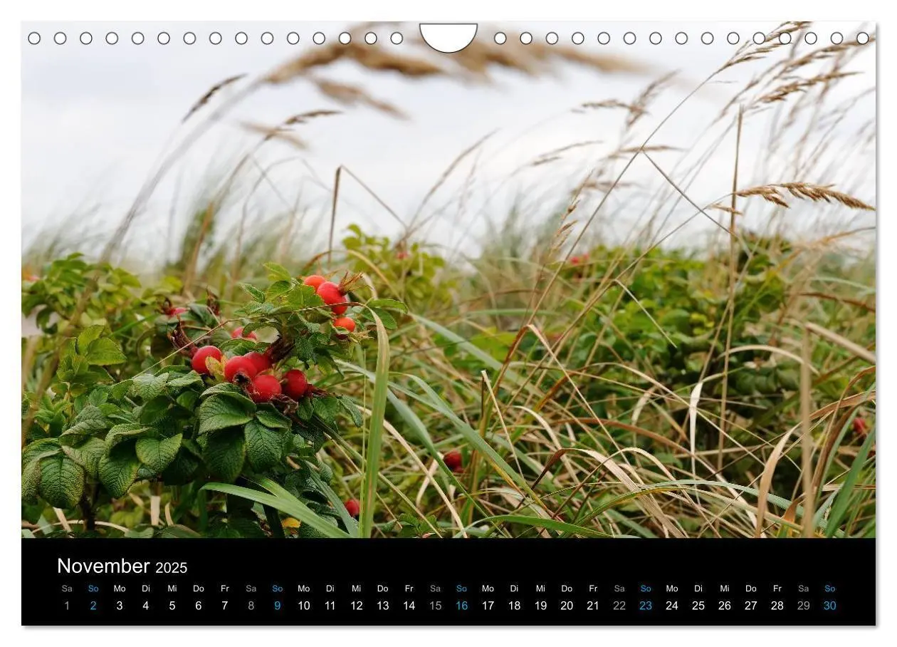 Bild: 9783435767885 | Ostseestrand Graal-Müritz (Wandkalender 2025 DIN A4 quer), CALVENDO...