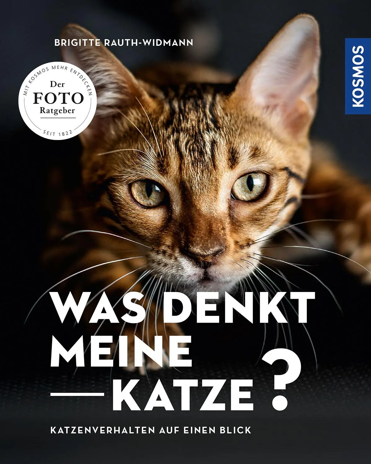 Cover: 9783440167885 | Was denkt meine Katze | Brigitte Rauth-Widmann | Taschenbuch | 96 S.
