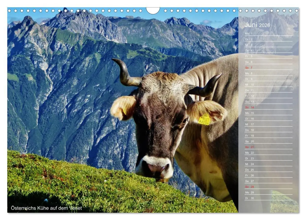 Bild: 9783516187885 | Alpenüberquerung (Wandkalender 2026 DIN A3 quer), CALVENDO...