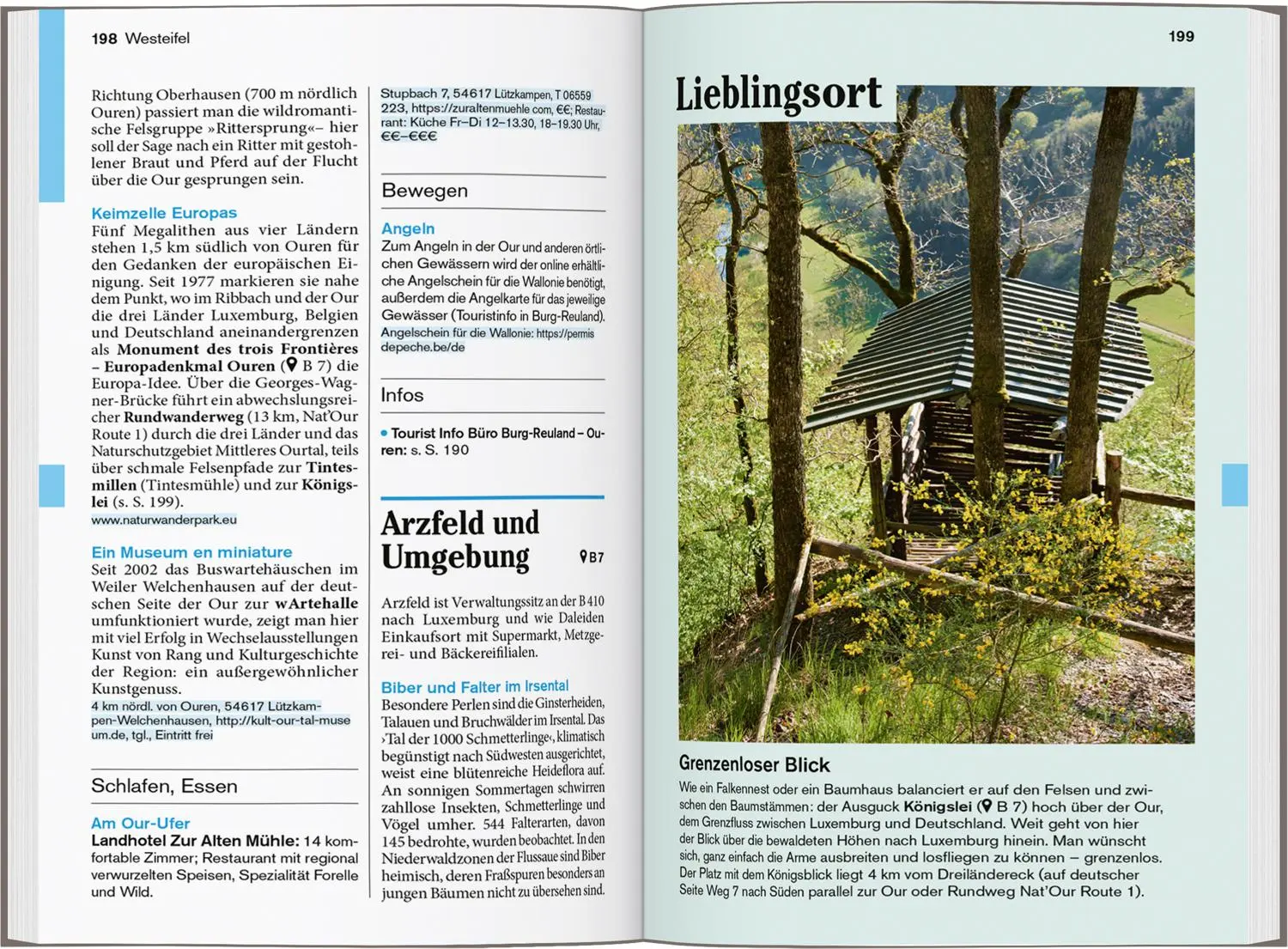 Bild: 9783616007885 | DUMONT Reise-Taschenbuch Reiseführer Eifel, Aachen, Trier | Buch