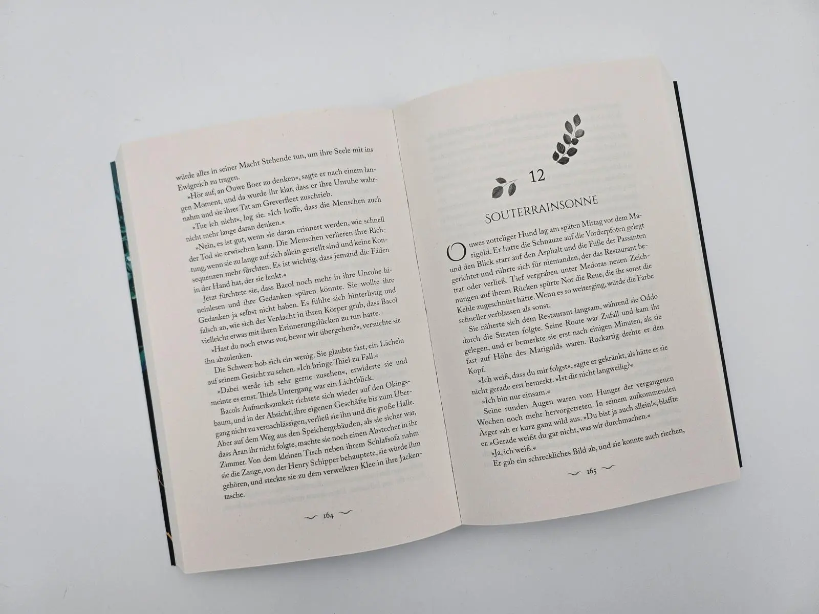 Bild: 9783492707985 | Herz aus Moos und Schatten | Sarah Scheumer | Taschenbuch | 448 S.