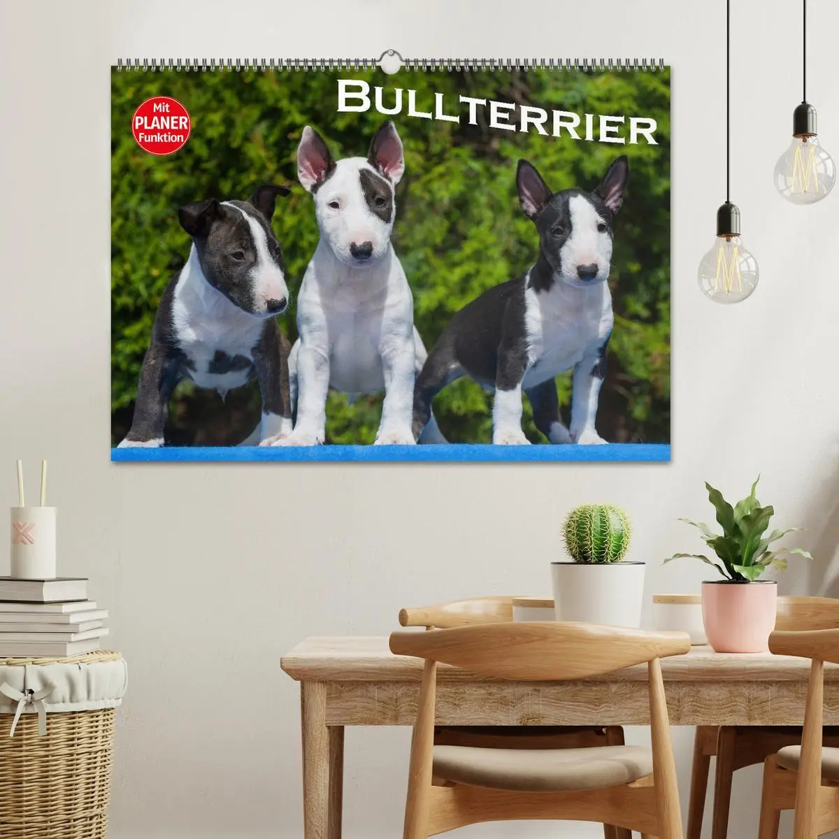 Bild: 9783516007985 | Bullterrier (Wandkalender 2026 DIN A2 quer), CALVENDO Monatskalender