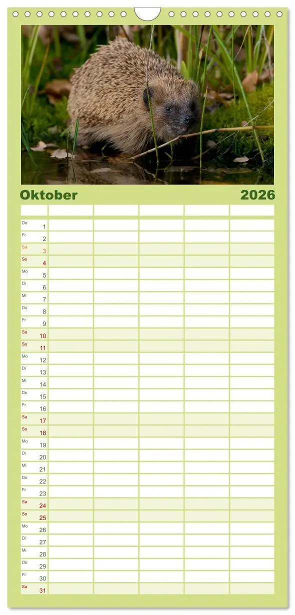 Bild: 9783516518085 | Familienplaner 2026 - Tiere des Waldes mit 5 Spalten (Wandkalender,...