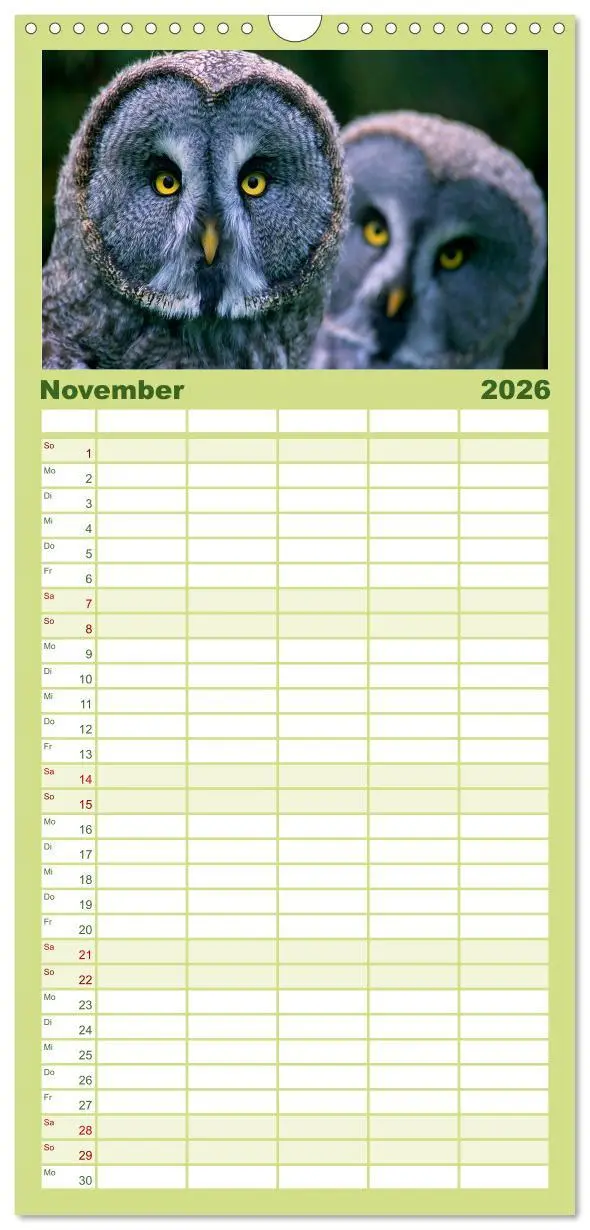 Bild: 9783516518085 | Familienplaner 2026 - Tiere des Waldes mit 5 Spalten (Wandkalender,...