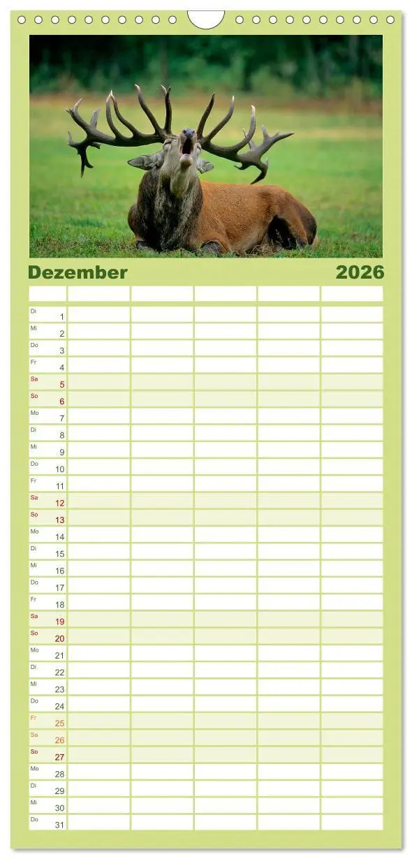 Bild: 9783516518085 | Familienplaner 2026 - Tiere des Waldes mit 5 Spalten (Wandkalender,...