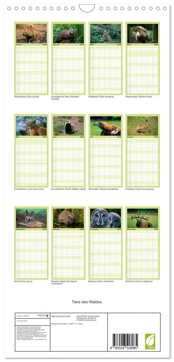 Bild: 9783516518085 | Familienplaner 2026 - Tiere des Waldes mit 5 Spalten (Wandkalender,...