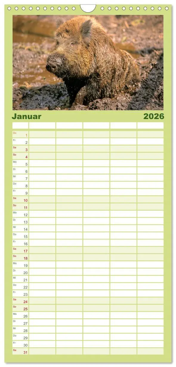 Bild: 9783516518085 | Familienplaner 2026 - Tiere des Waldes mit 5 Spalten (Wandkalender,...