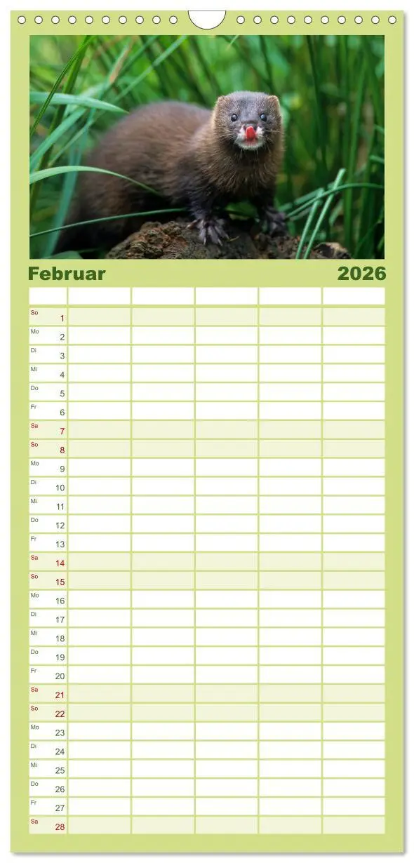 Bild: 9783516518085 | Familienplaner 2026 - Tiere des Waldes mit 5 Spalten (Wandkalender,...
