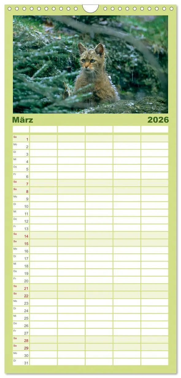 Bild: 9783516518085 | Familienplaner 2026 - Tiere des Waldes mit 5 Spalten (Wandkalender,...