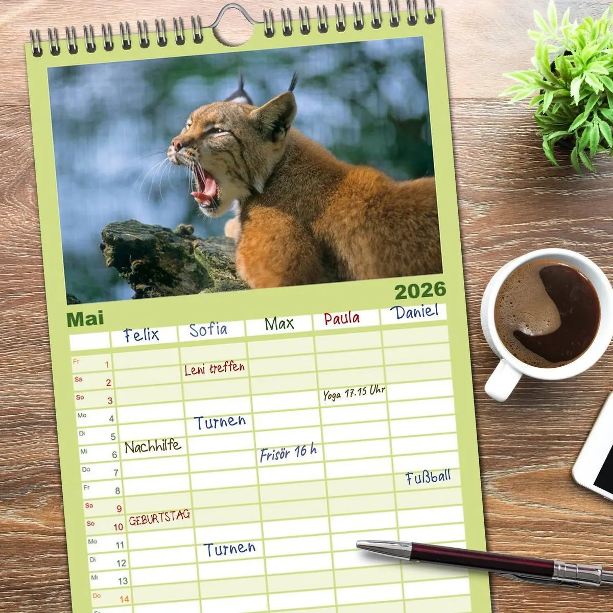 Bild: 9783516518085 | Familienplaner 2026 - Tiere des Waldes mit 5 Spalten (Wandkalender,...