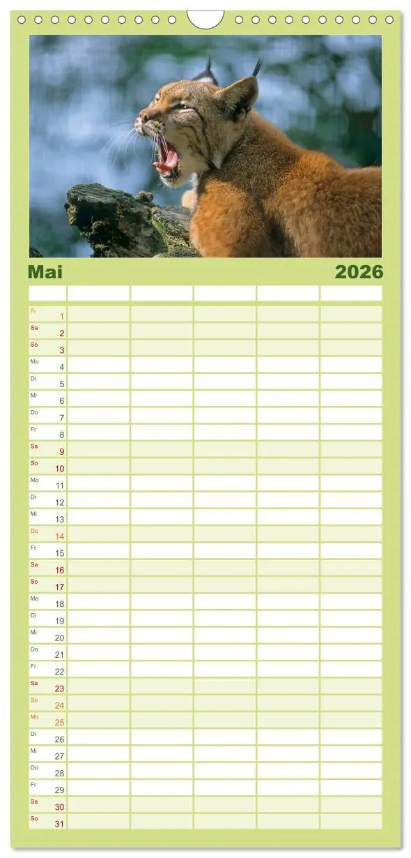 Bild: 9783516518085 | Familienplaner 2026 - Tiere des Waldes mit 5 Spalten (Wandkalender,...