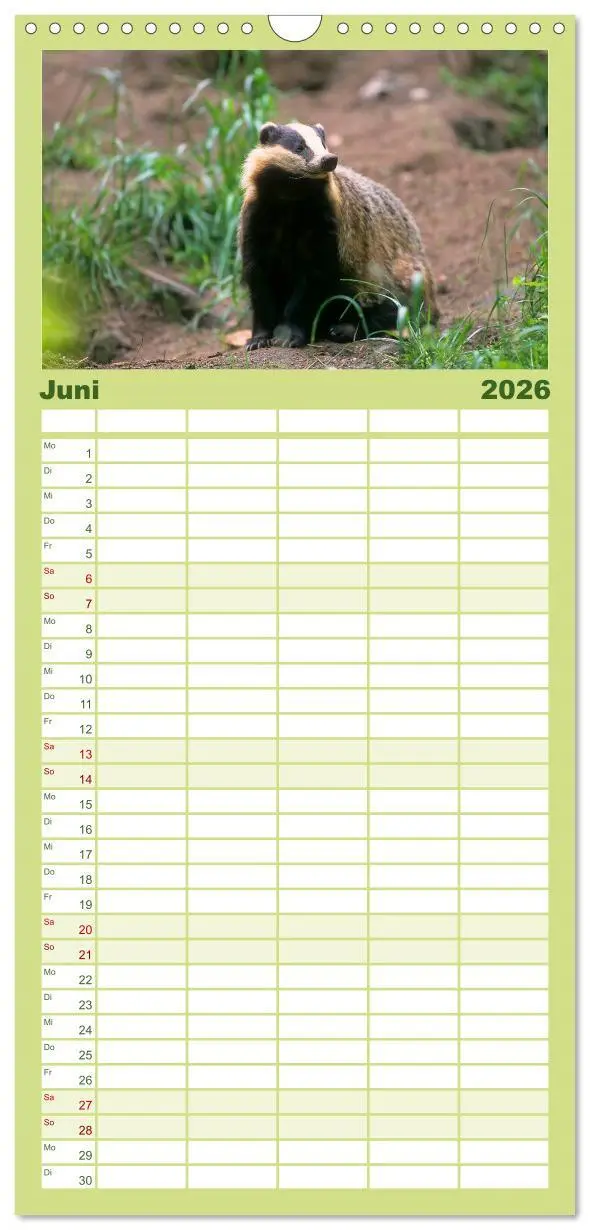 Bild: 9783516518085 | Familienplaner 2026 - Tiere des Waldes mit 5 Spalten (Wandkalender,...
