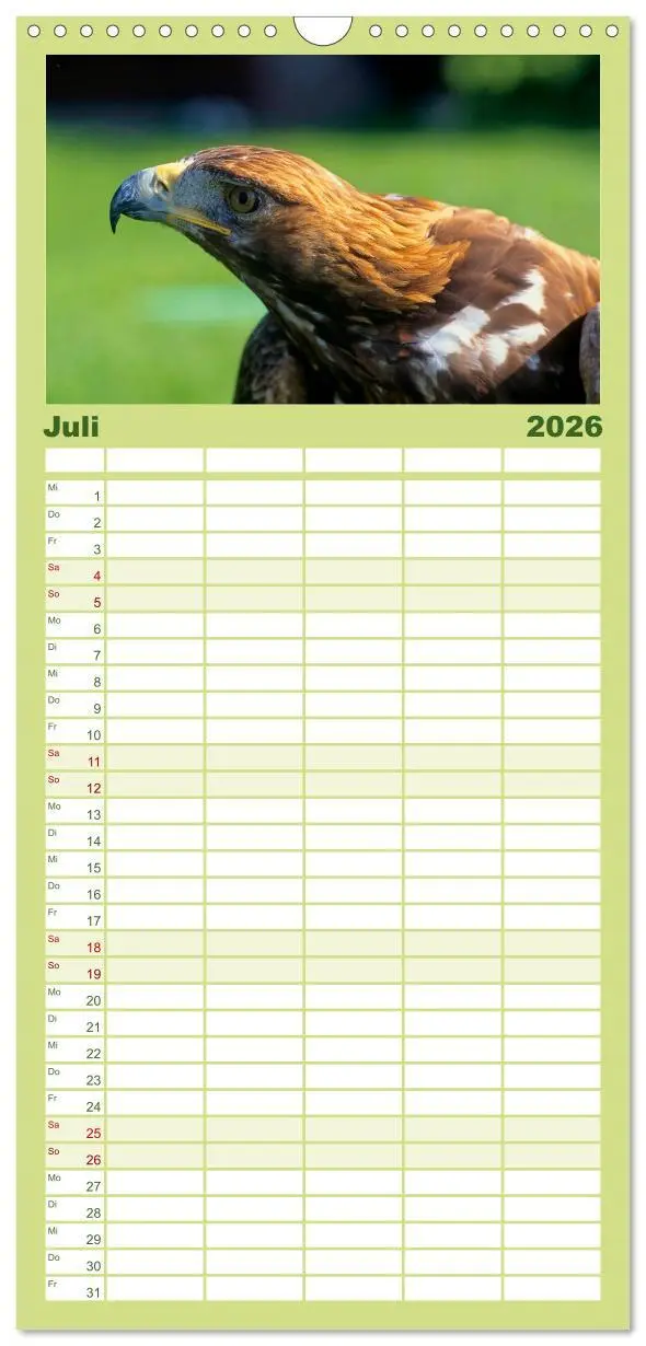 Bild: 9783516518085 | Familienplaner 2026 - Tiere des Waldes mit 5 Spalten (Wandkalender,...