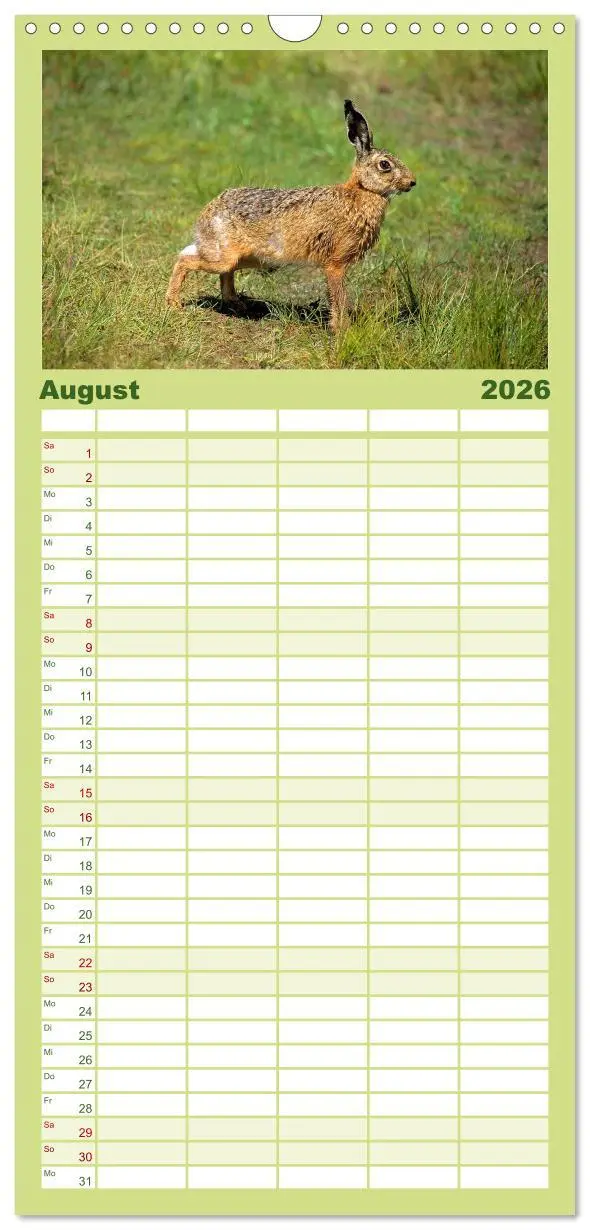 Bild: 9783516518085 | Familienplaner 2026 - Tiere des Waldes mit 5 Spalten (Wandkalender,...