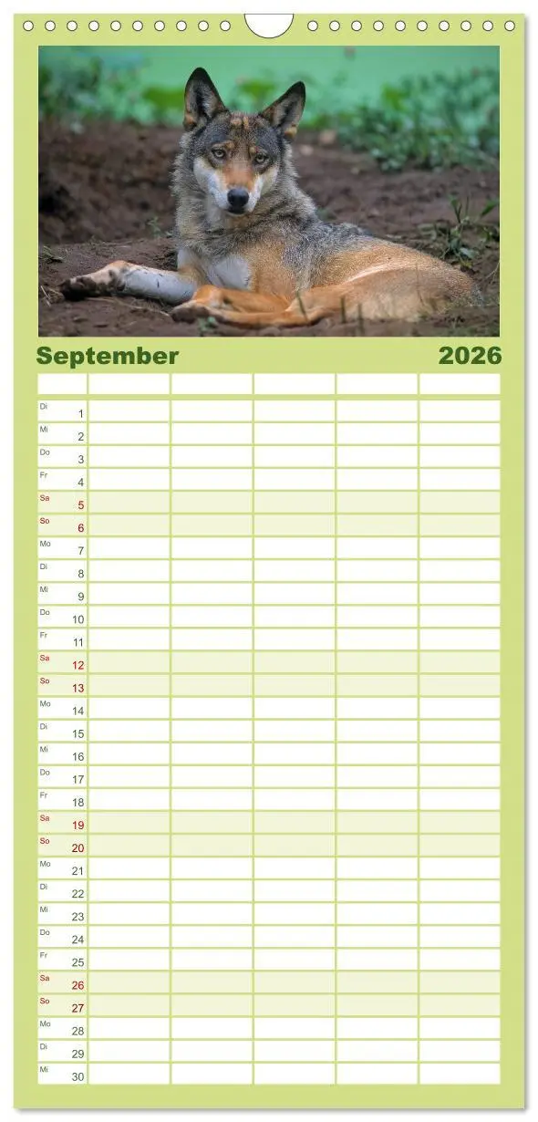 Bild: 9783516518085 | Familienplaner 2026 - Tiere des Waldes mit 5 Spalten (Wandkalender,...