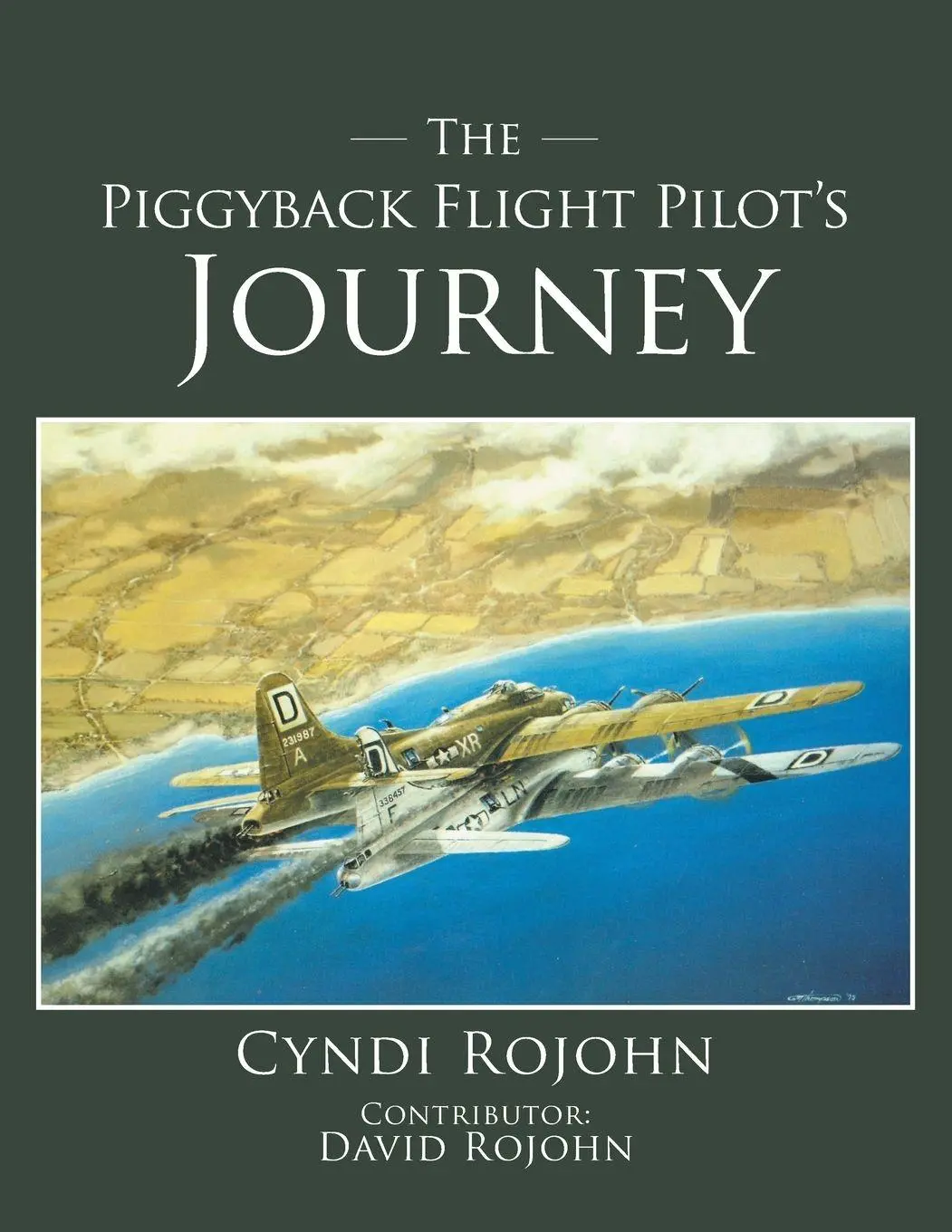 Cover: 9781633388185 | The Piggyback Flight Pilot's Journey | Cyndi Rojohn | Taschenbuch