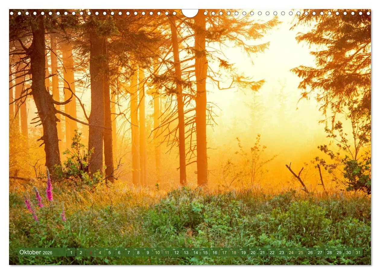 Bild: 9783457348185 | Farben und Muster der Erde (Wandkalender 2026 DIN A3 quer),...