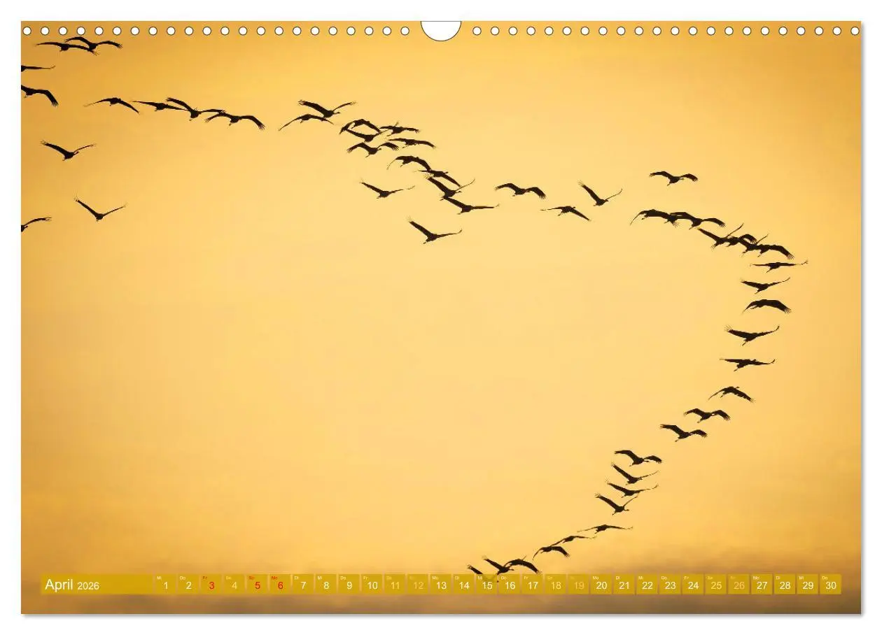 Bild: 9783457348185 | Farben und Muster der Erde (Wandkalender 2026 DIN A3 quer),...