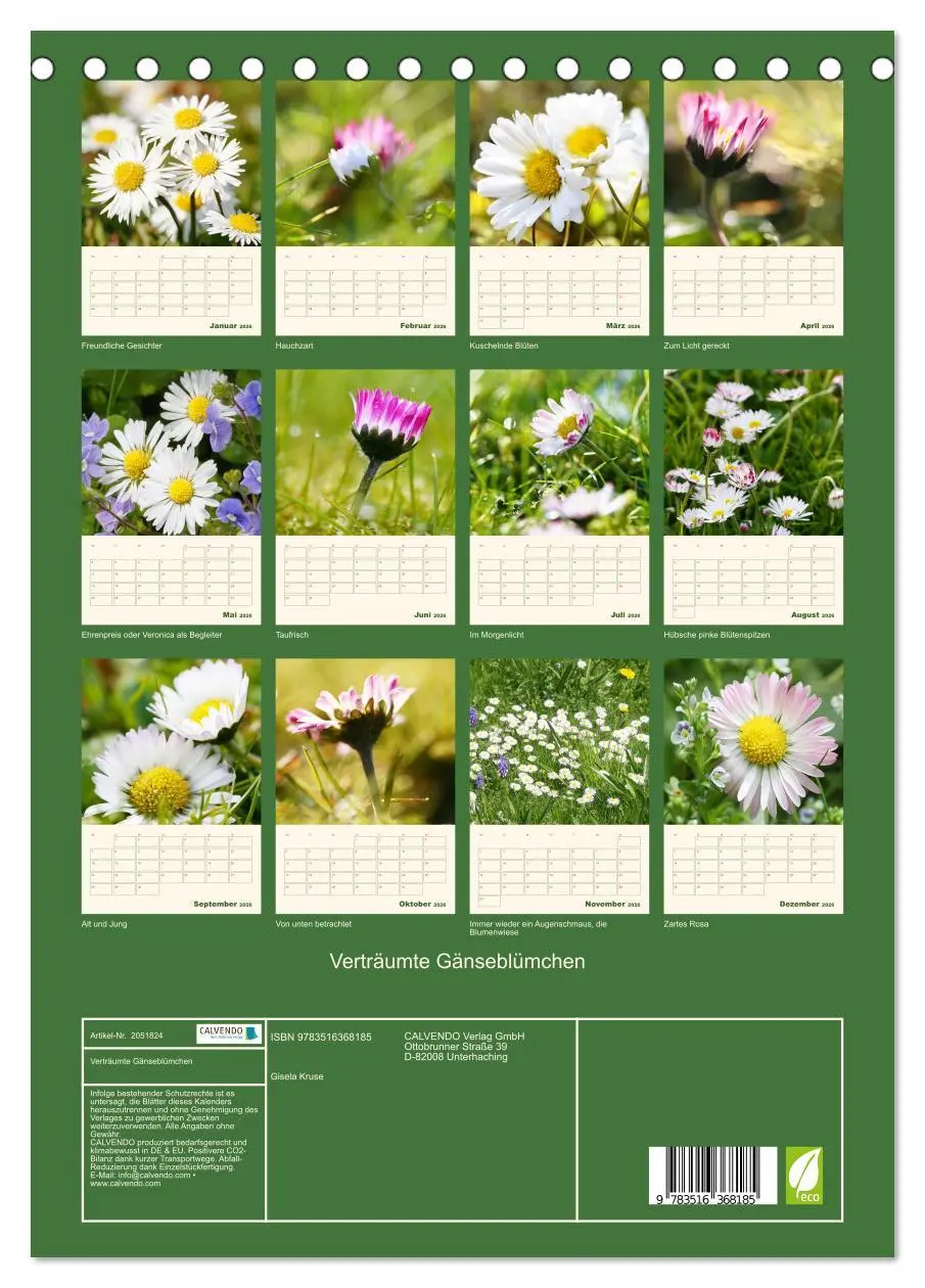 Bild: 9783516368185 | Verträumte Gänseblümchen (Tischkalender 2026 DIN A5 hoch), CALVENDO...