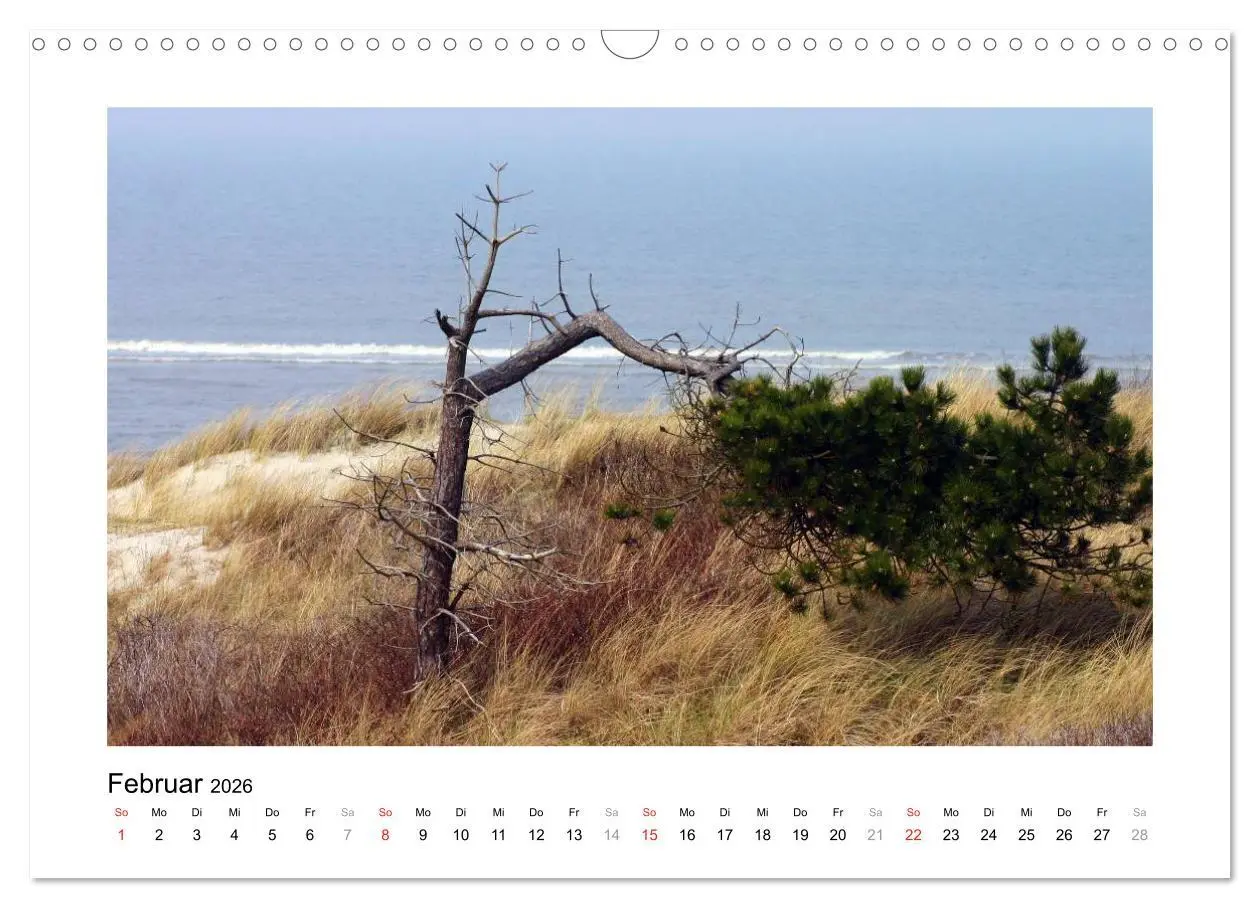Bild: 9783516048285 | JUIST - Ansichten einer Insel (Wandkalender 2026 DIN A3 quer),...