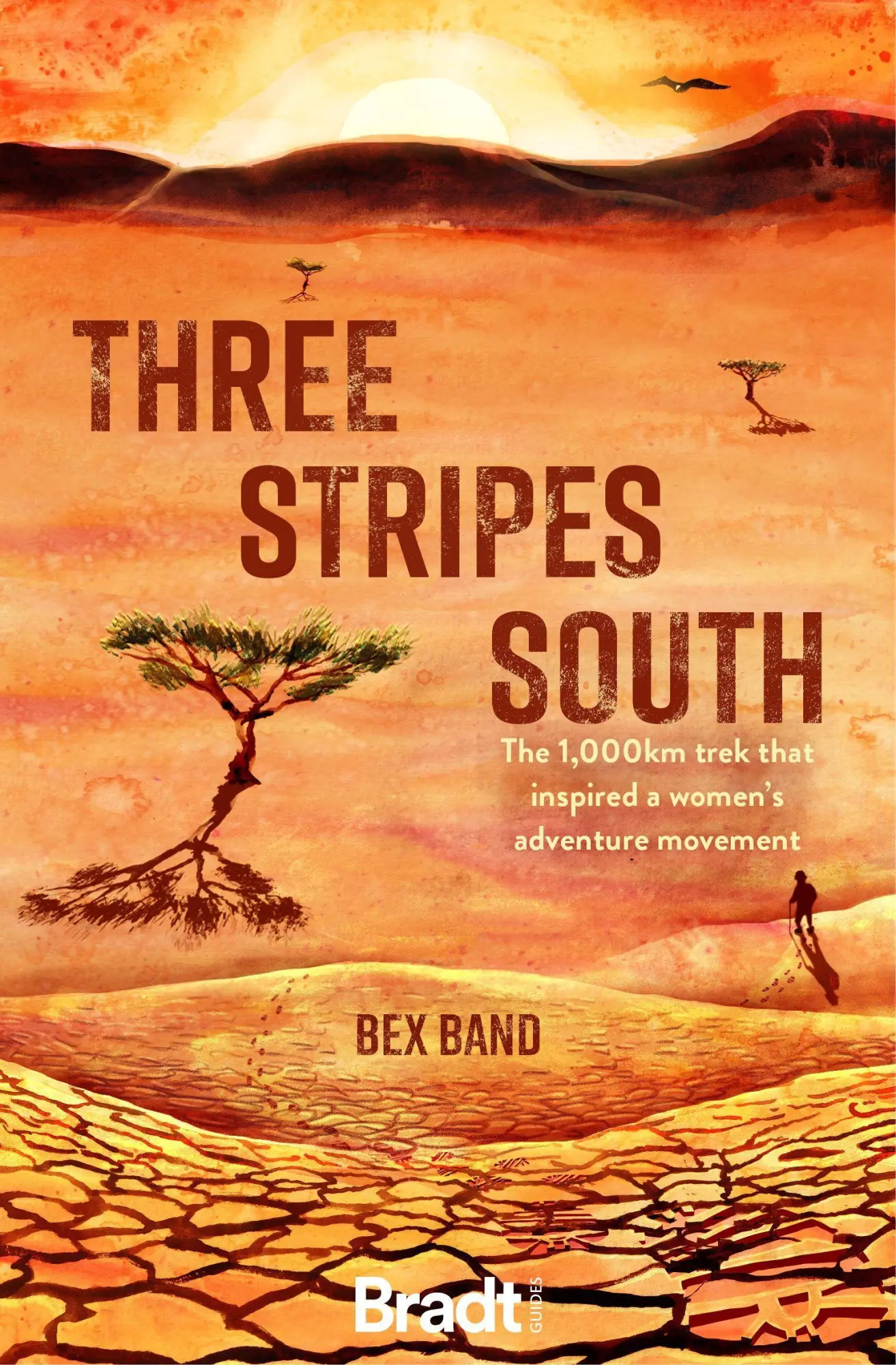 Cover: 9781784778385 | Three Stripes South: The 1,000km Trek That Inspired a Women's...