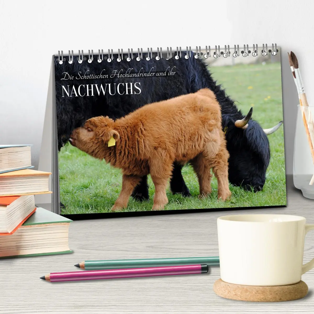 Bild: 9783457498385 | Die Schottischen Hochlandrinder und ihr Nachwuchs (Tischkalender...