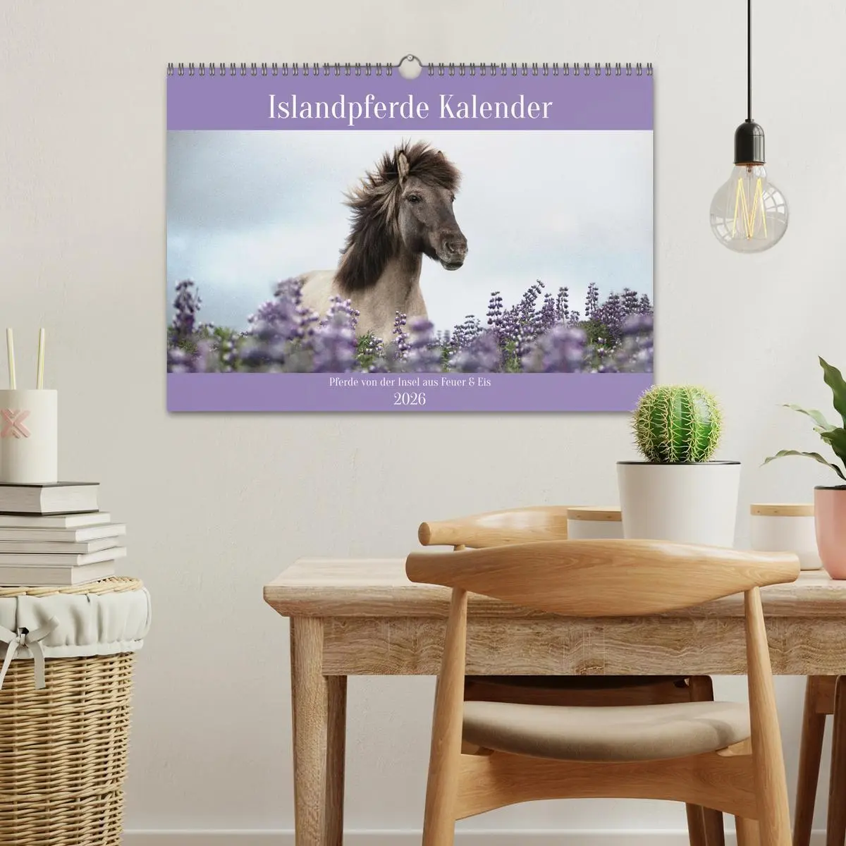 Bild: 9783457558485 | Islandpferde Kalender (Wandkalender 2026 DIN A3 quer), CALVENDO...
