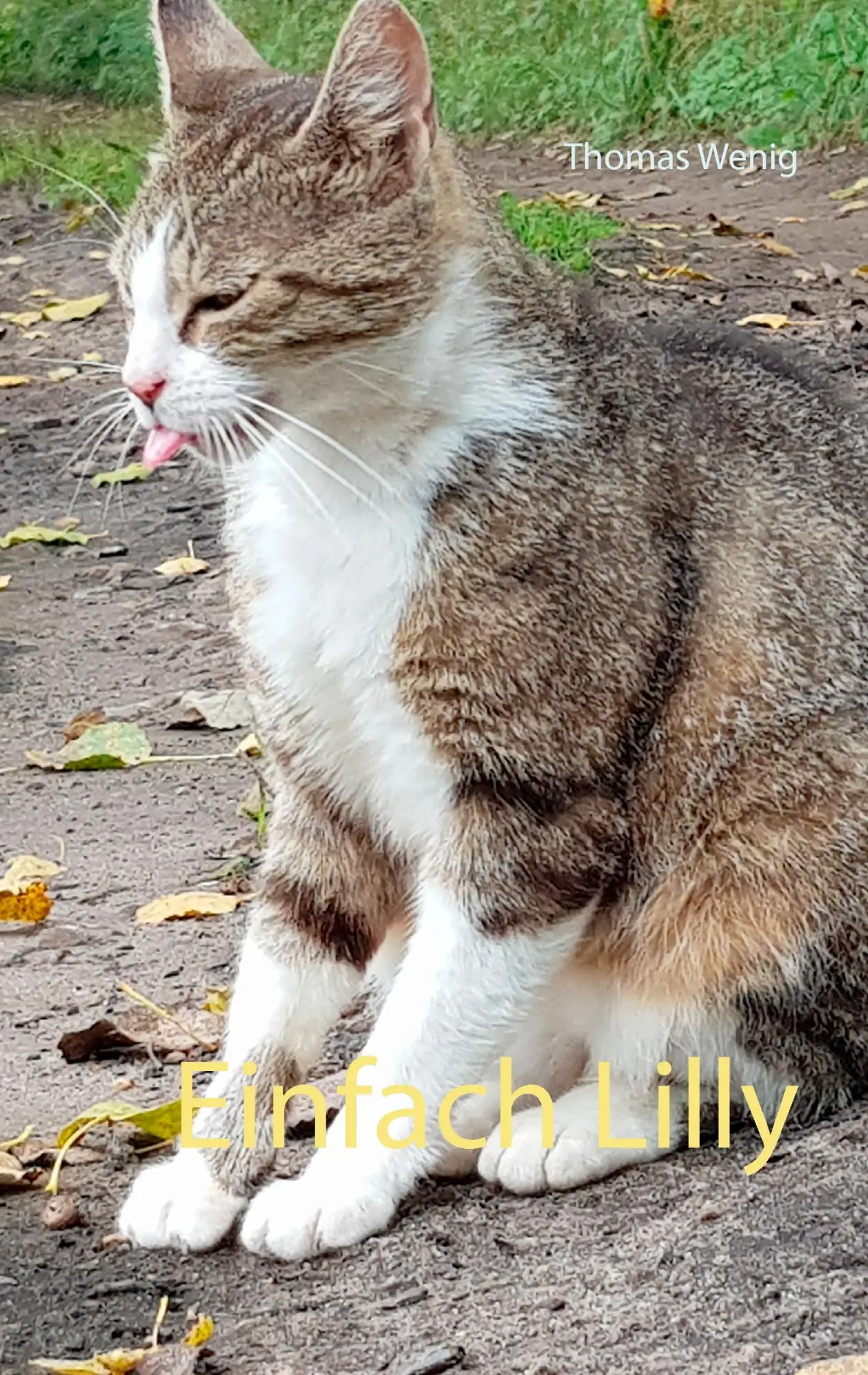 Cover: 9783744898485 | Einfach Lilly | Thomas Wenig | Taschenbuch | 168 S. | Deutsch | 2017