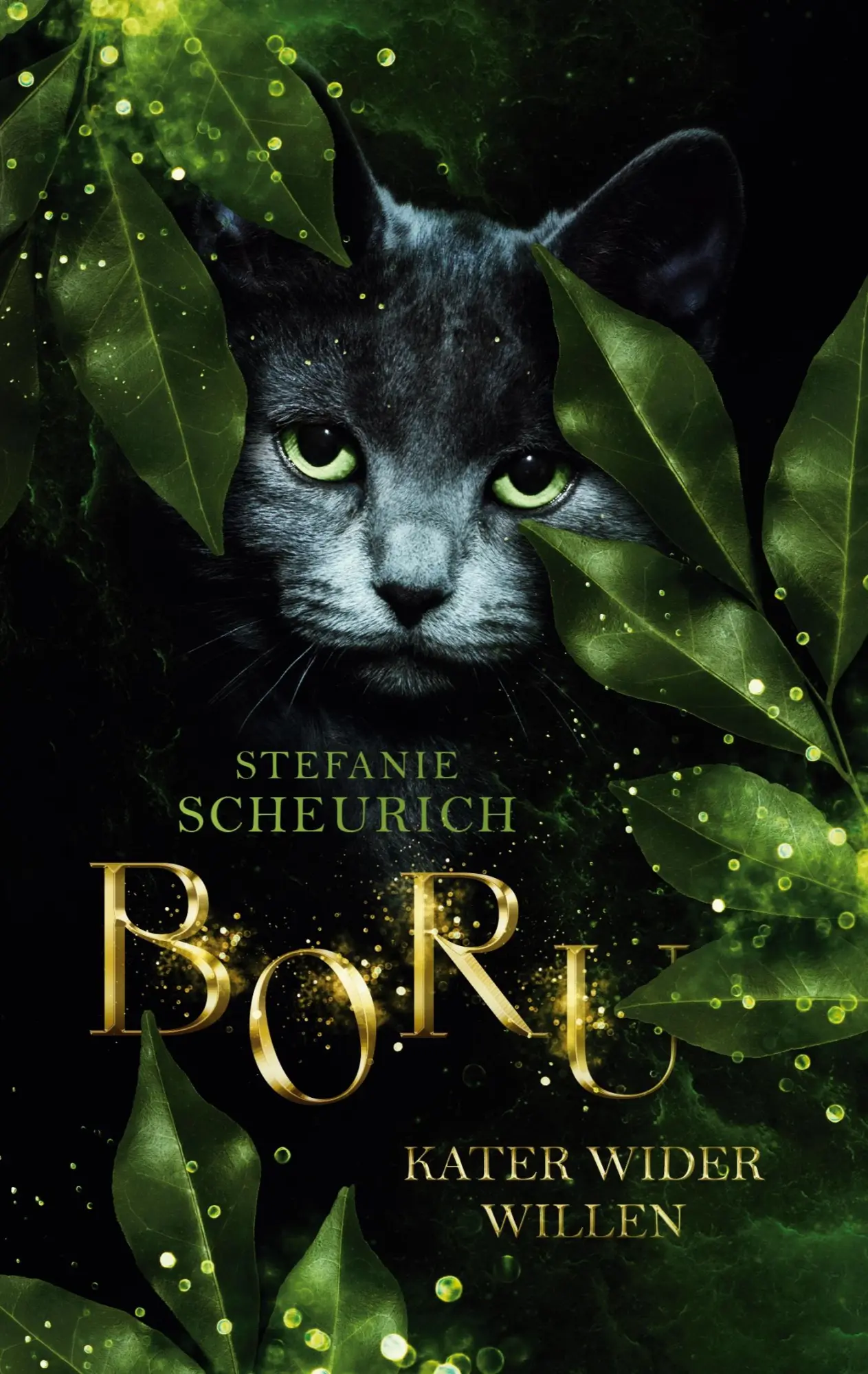 Cover: 9783756228485 | Boru | Kater wider Willen | Stefanie Scheurich | Taschenbuch | 358 S.