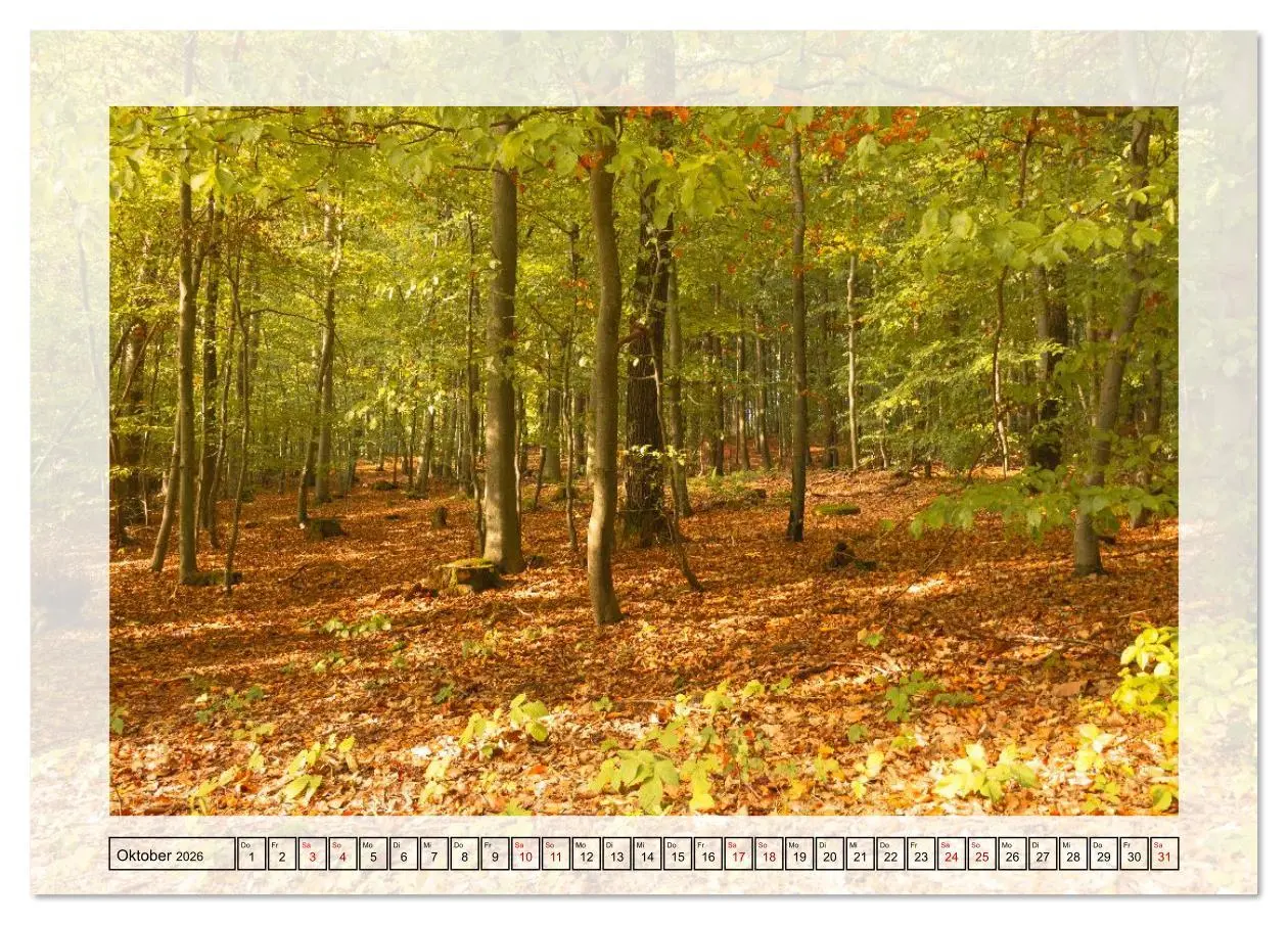 Bild: 9783516638585 | Jeden Monat in der Natur (Tischkalender 2026 DIN A5 quer), CALVENDO...