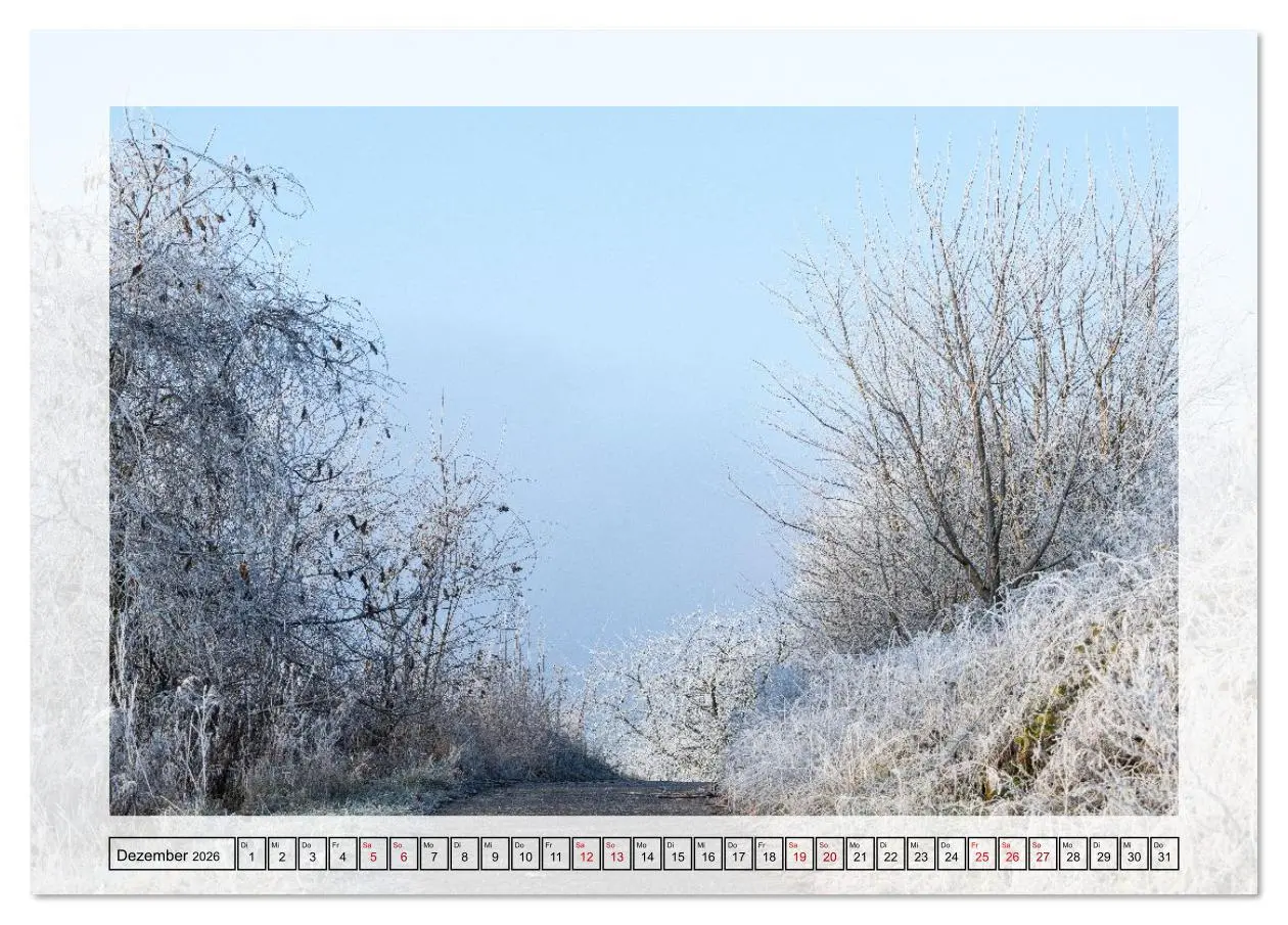 Bild: 9783516638585 | Jeden Monat in der Natur (Tischkalender 2026 DIN A5 quer), CALVENDO...