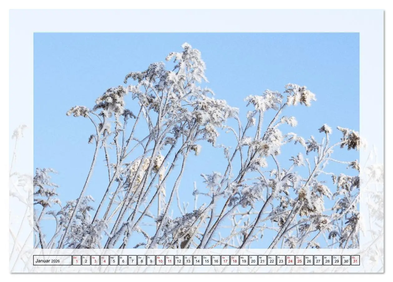 Bild: 9783516638585 | Jeden Monat in der Natur (Tischkalender 2026 DIN A5 quer), CALVENDO...