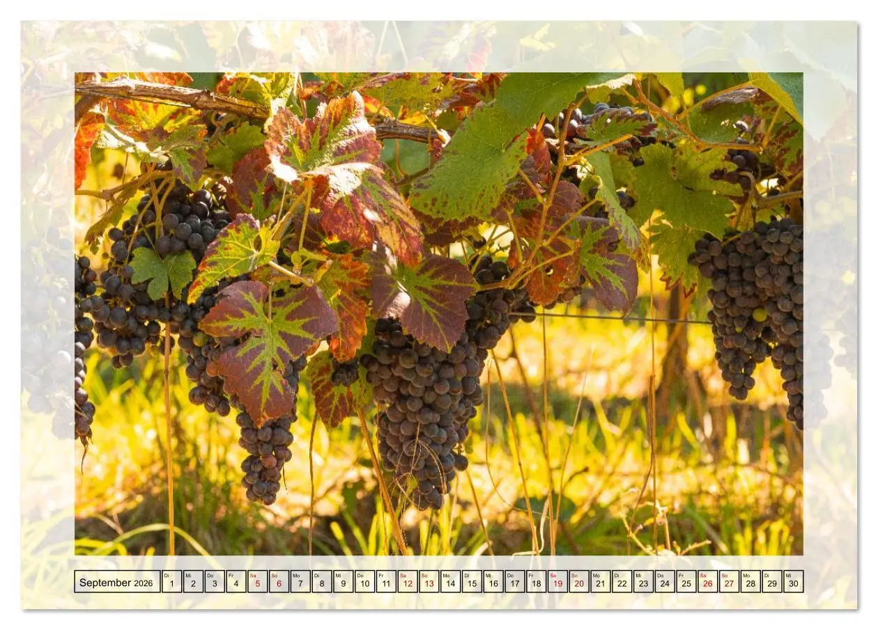 Bild: 9783516638585 | Jeden Monat in der Natur (Tischkalender 2026 DIN A5 quer), CALVENDO...