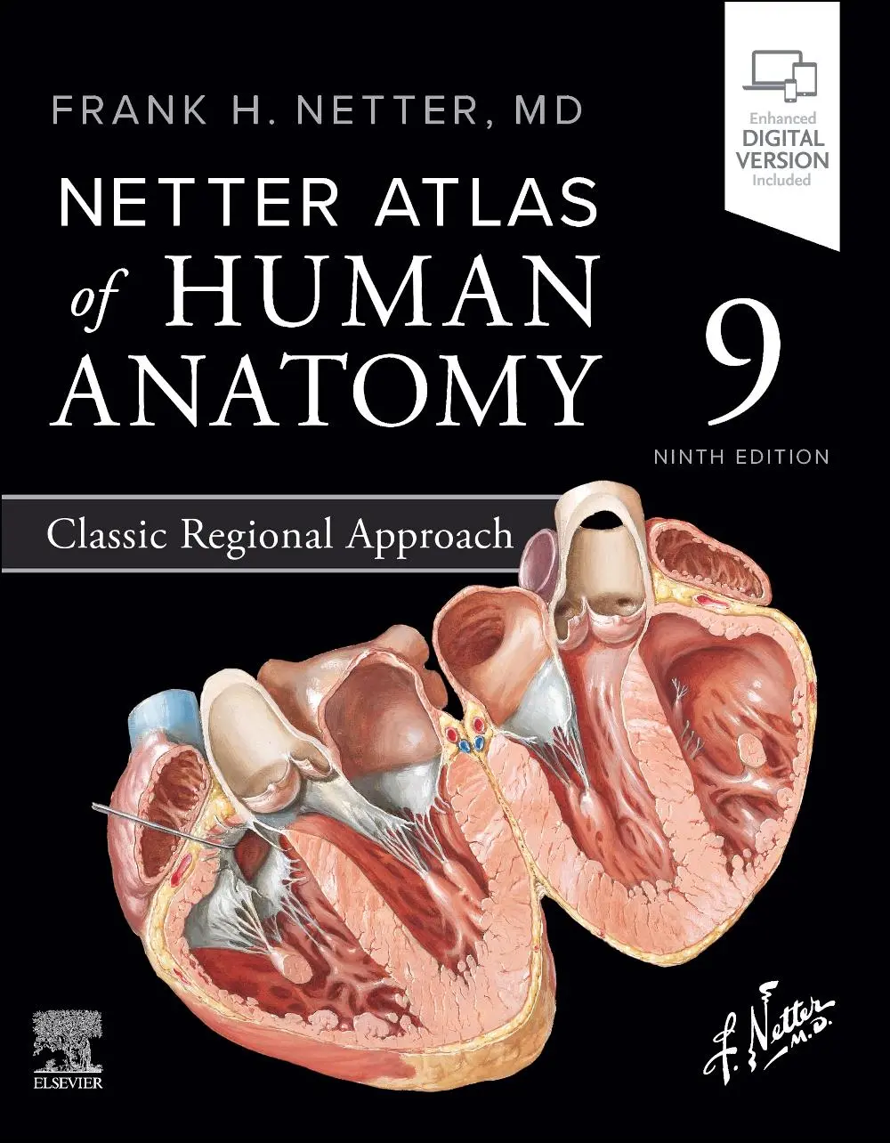 Cover: 9780443118685 | Netter Atlas of Human Anatomy: Classic Regional Approach | Netter