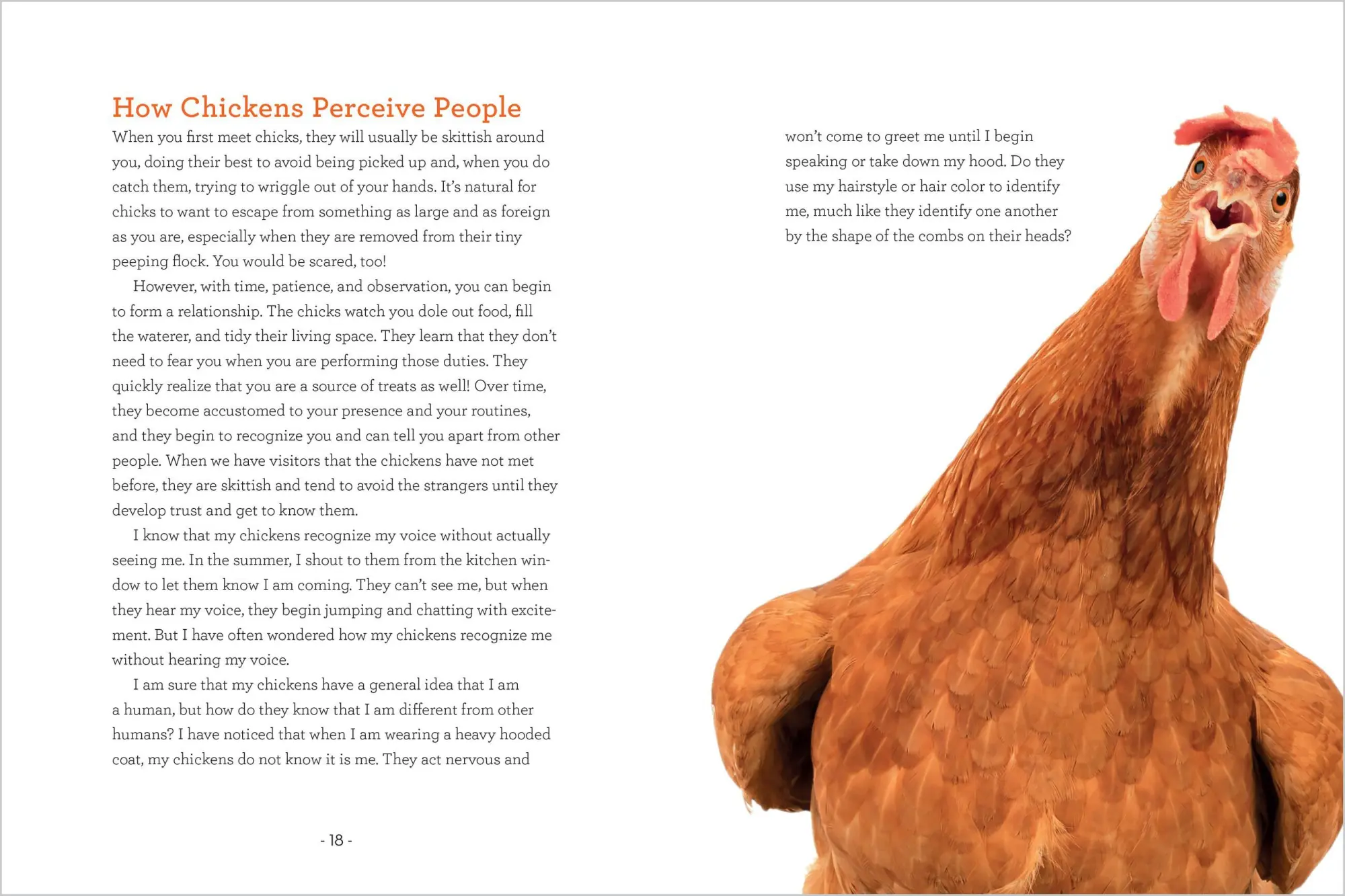 Bild: 9781635868685 | How to Read a Chicken's Mind | Melissa Caughey | Taschenbuch | 2025