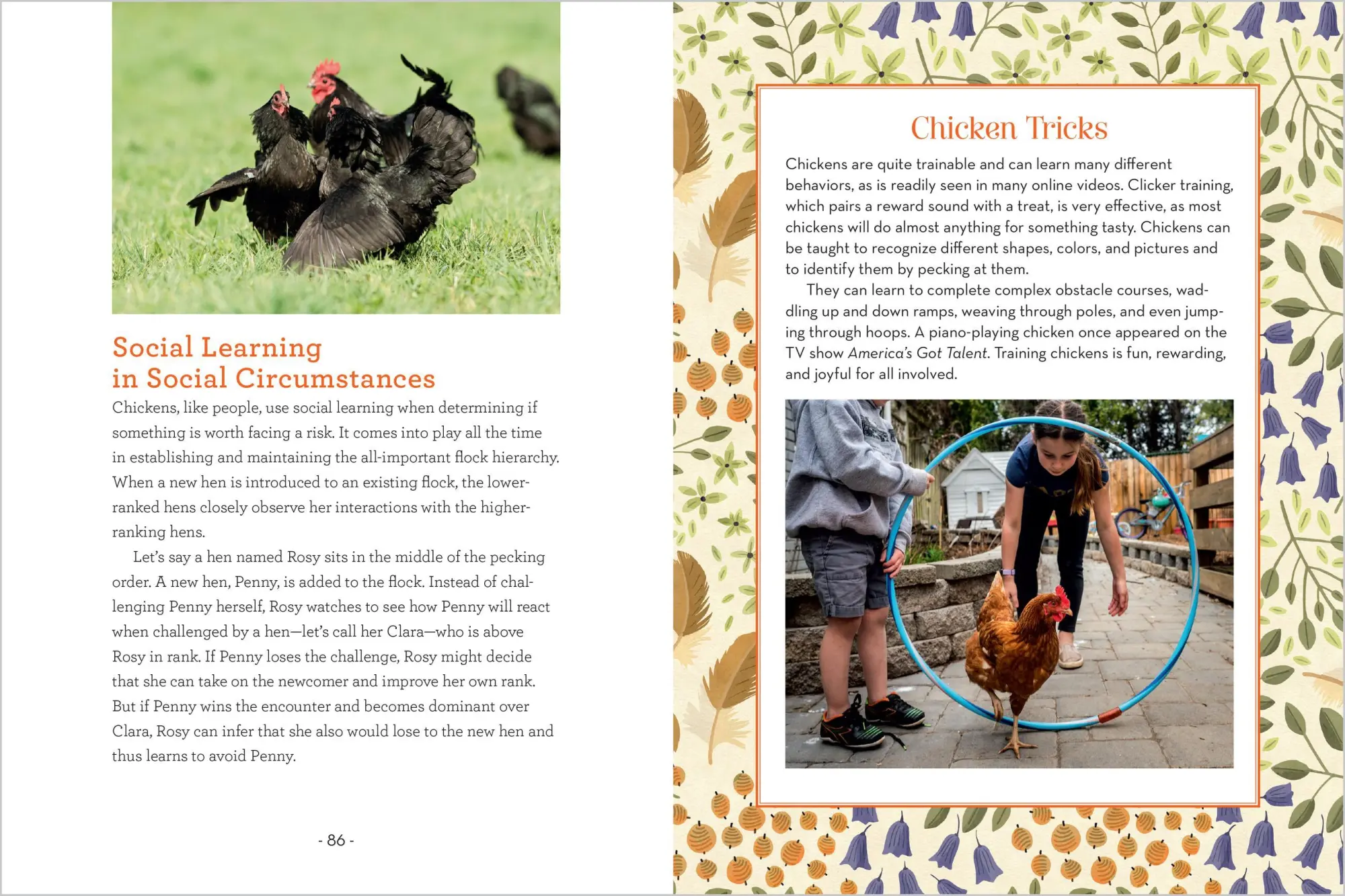Bild: 9781635868685 | How to Read a Chicken's Mind | Melissa Caughey | Taschenbuch | 2025