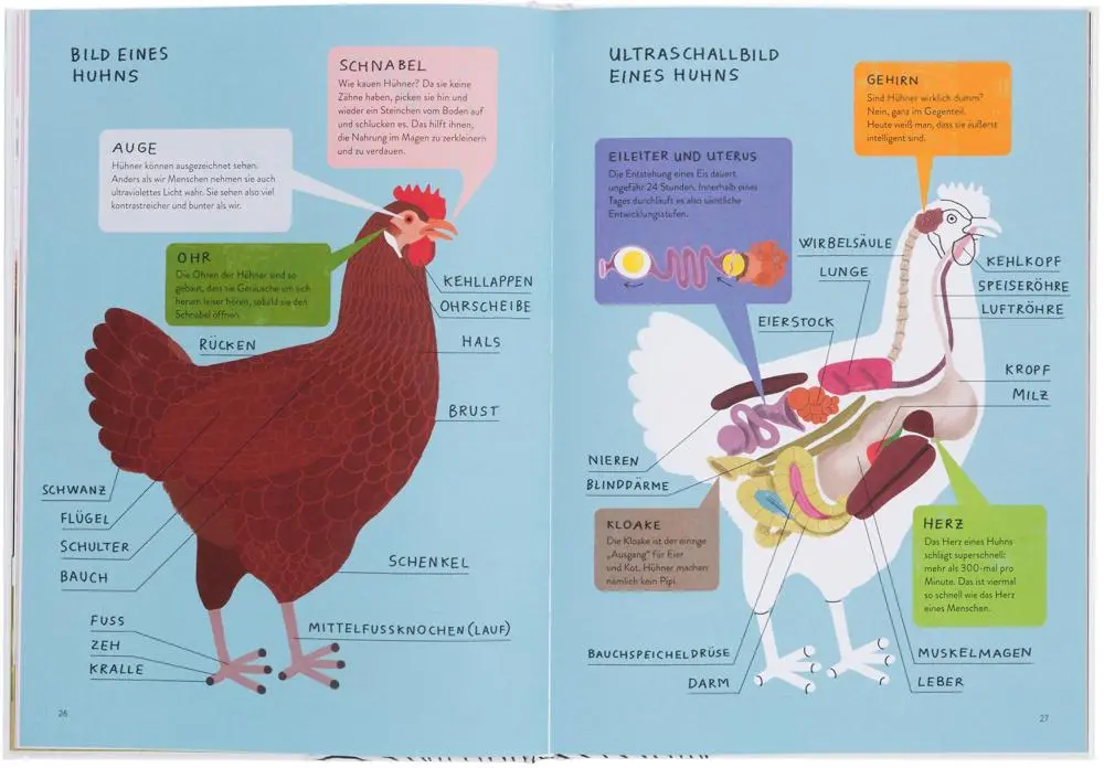 Bild: 9783899558685 | Ich wollt', ich wär' ein Huhn | Barbara Sandri (u. a.) | Buch | 76 S.