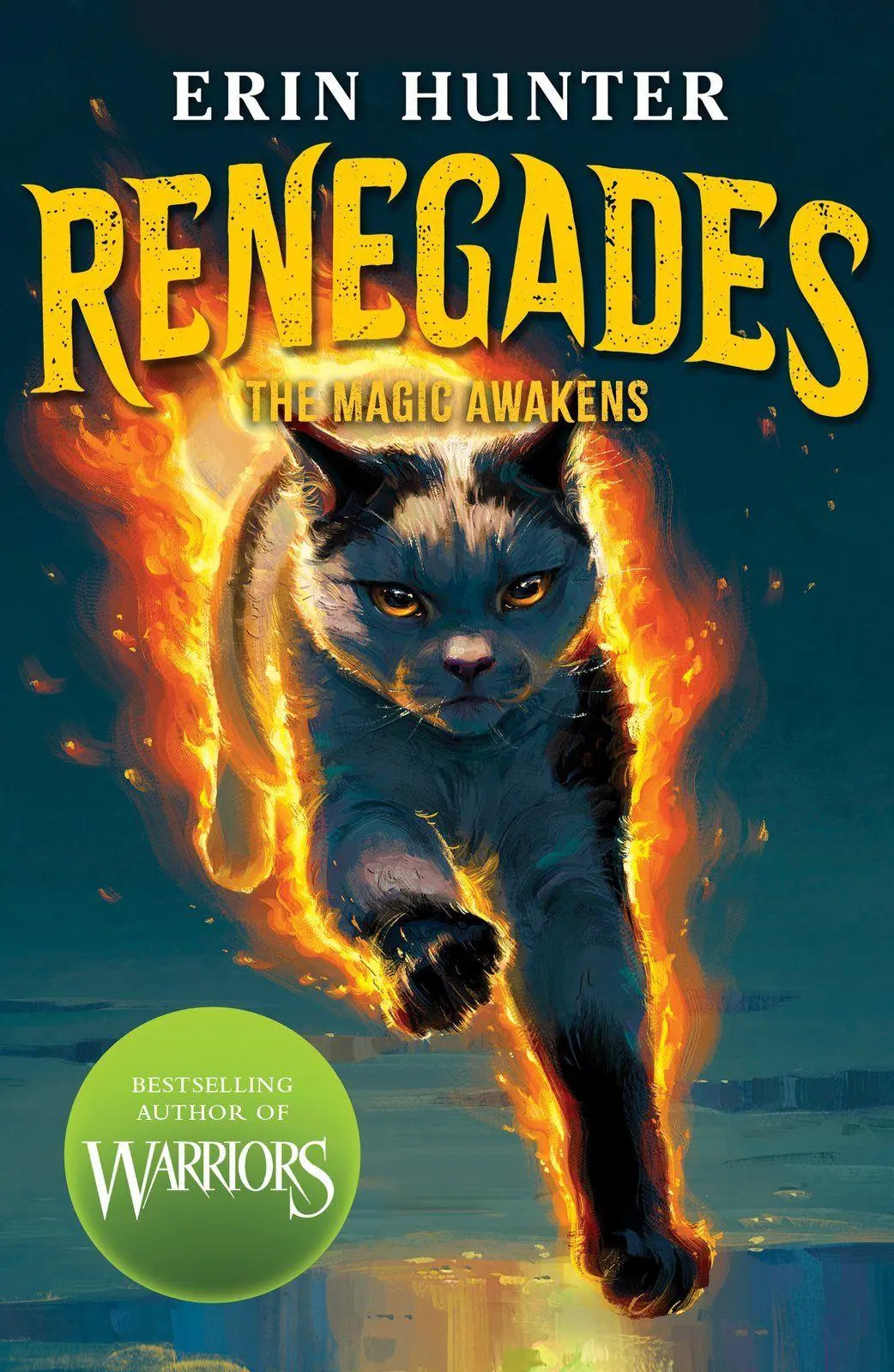 Cover: 9780702348785 | Renegades: The Magic Awakens | Erin Hunter | Taschenbuch | 232 S.