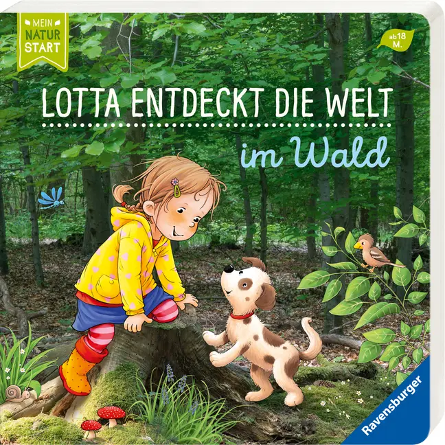 Bild: 9783473438785 | Lotta entdeckt die Welt: Im Wald | Sandra Grimm | Buch | Naturstart